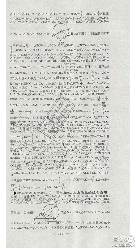 四川大学出版社2020春名校课堂内外九年级数学下册沪科版答案