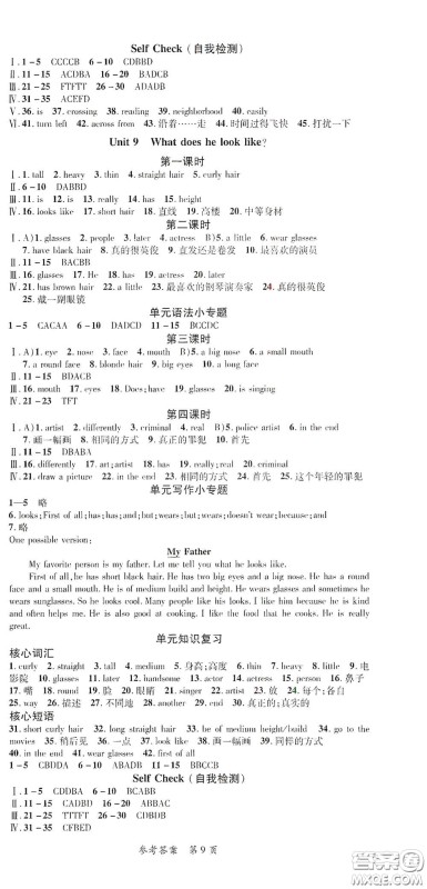 新疆青少年出版社2020高效课堂七年级英语下册人教版答案 新疆青少年出版社2020高效课堂七年级英语下册人教版答案