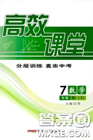 新疆青少年出版社2020高效课堂七年级数学下册人教版答案 新疆青少年出版社2020高效课堂七年级数学下册人教版答案