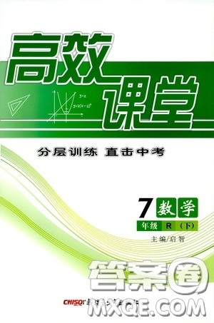 新疆青少年出版社2020高效课堂七年级数学下册人教版答案