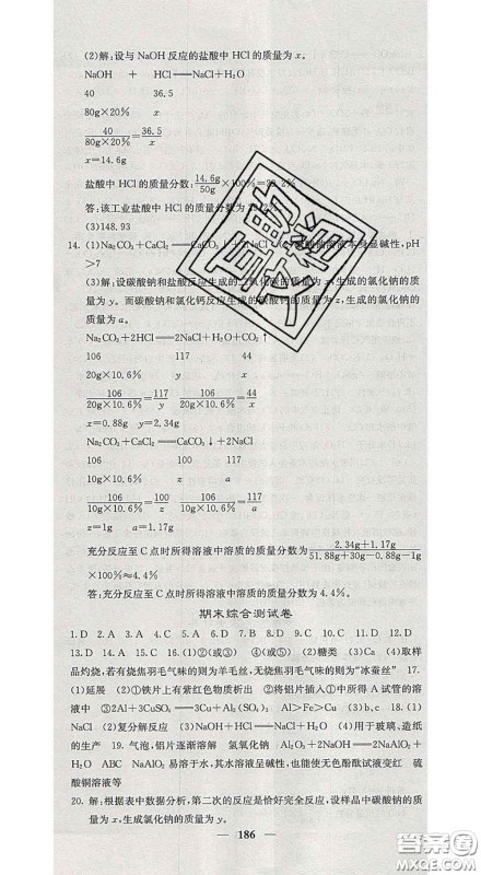 四川大学出版社2020春名校课堂内外九年级化学下册人教版答案