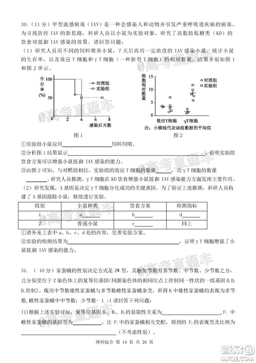 2020年河北衡水中学高三下九调研考试理综试题及答案