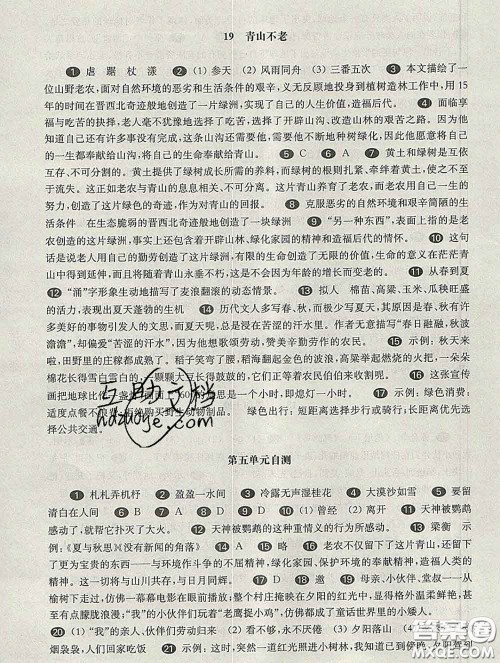 2020新版华东师大版一课一练六年级语文第二学期答案 2020新版华东师大版一课一练六年级语文第二学期答案