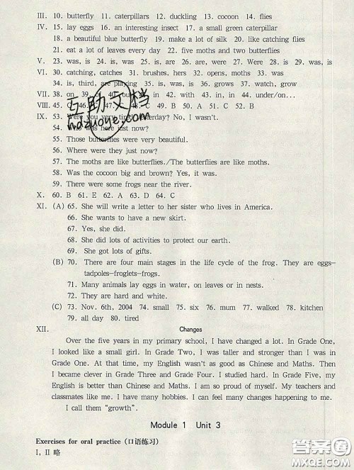 2020新版华东师大版一课一练五年级英语第二学期N版答案