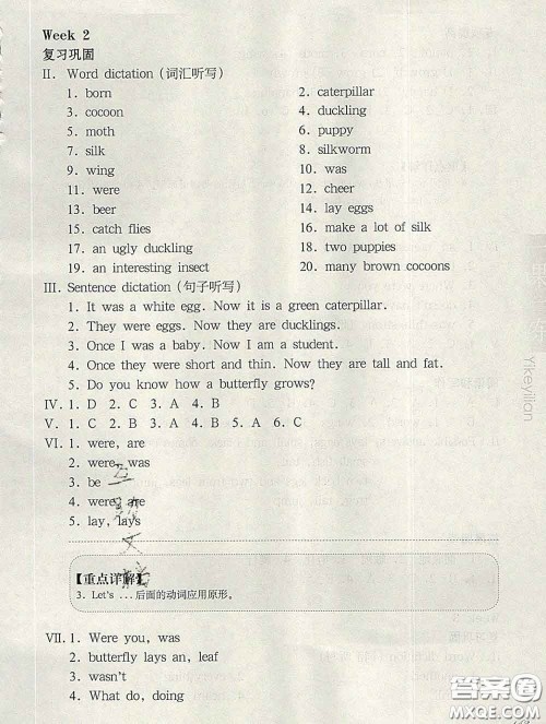 2020新版华东师大版一课一练五年级英语第二学期N版增强版答案 2020新版华东师大版一课一练五年级英语第二学期N版增强版答案