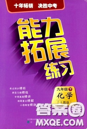 2020年能力拓展练习九年级下册化学上教版参考答案