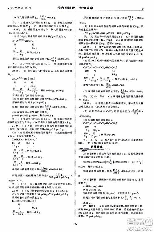 2020年能力拓展练习九年级下册化学上教版参考答案