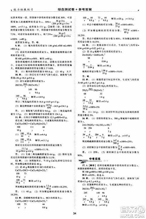 2020年能力拓展练习九年级下册化学上教版参考答案