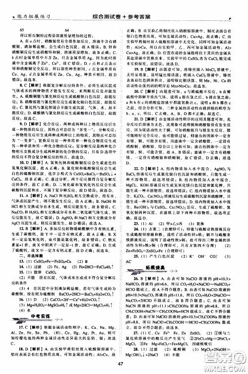 2020年能力拓展练习九年级下册化学上教版参考答案