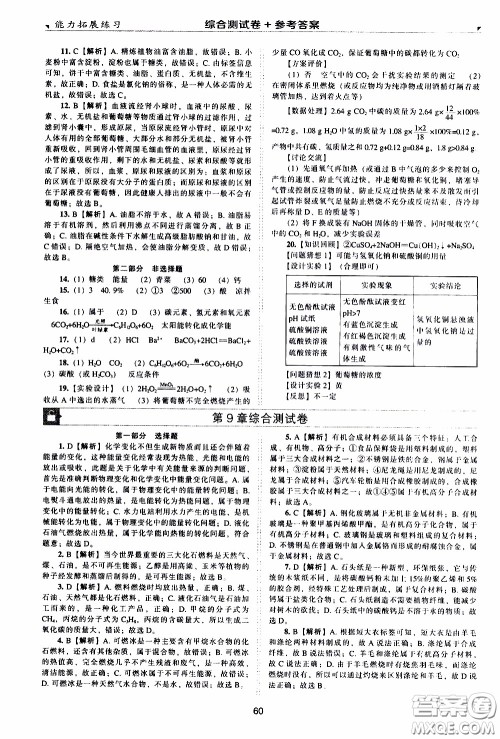 2020年能力拓展练习九年级下册化学上教版参考答案