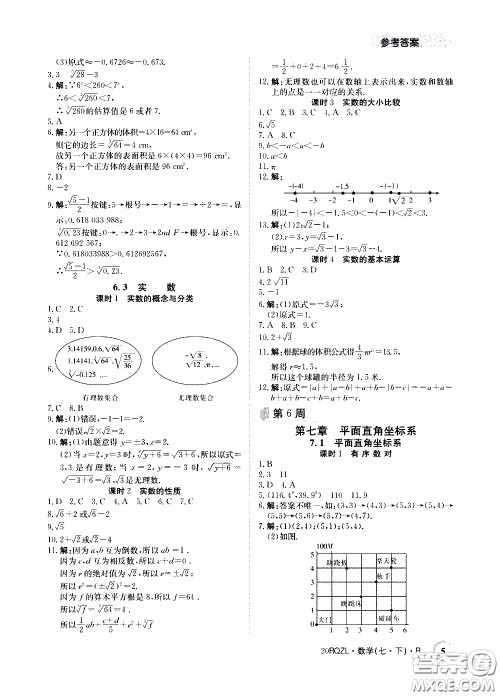 2020年日清周练限时提升卷数学七年级下册R人教版参考答案