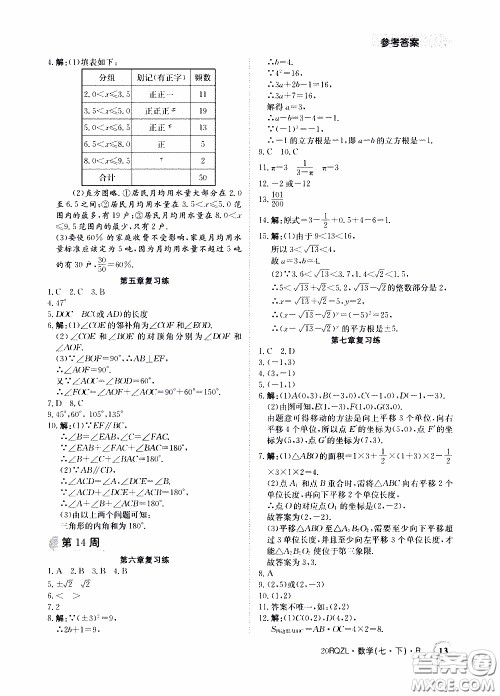 2020年日清周练限时提升卷数学七年级下册R人教版参考答案