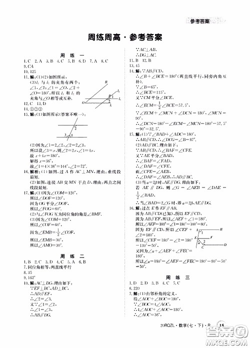 2020年日清周练限时提升卷数学七年级下册R人教版参考答案