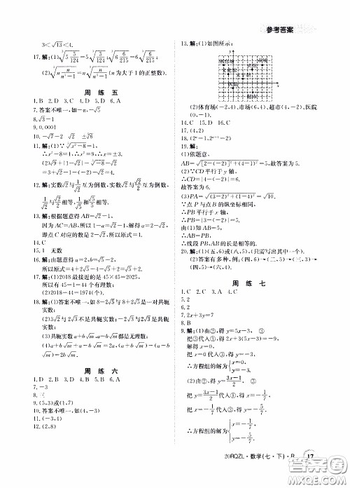 2020年日清周练限时提升卷数学七年级下册R人教版参考答案