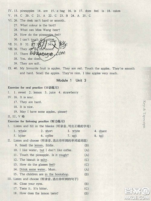 2020新版华东师大版一课一练三年级英语第二学期N版答案 2020新版华东师大版一课一练三年级英语第二学期N版答案