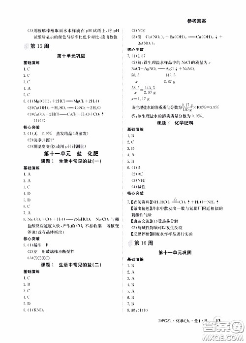 2020年日清周练限时提升卷化学九年级全一册R人教版参考答案