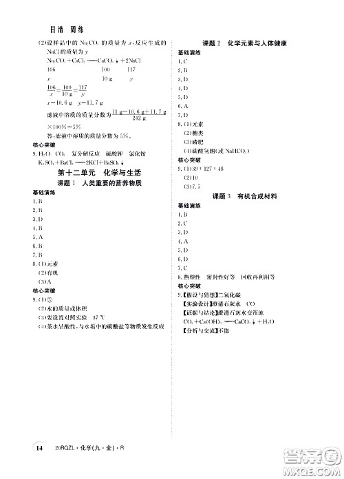 2020年日清周练限时提升卷化学九年级全一册R人教版参考答案