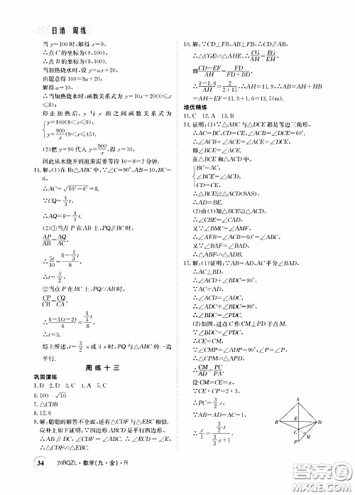 2020年日清周练限时提升卷数学九年级全一册R人教版参考答案