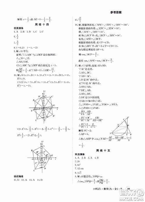 2020年日清周练限时提升卷数学九年级全一册R人教版参考答案