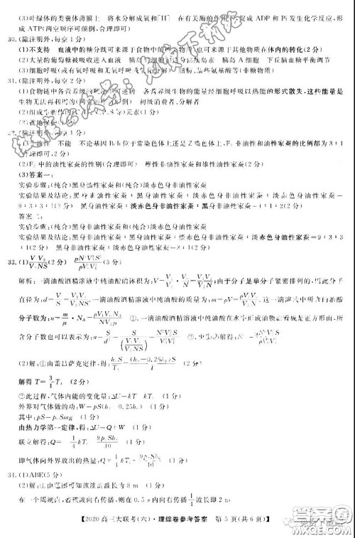 全国百所名校2020届高三大联考调研试卷六理综试题及答案