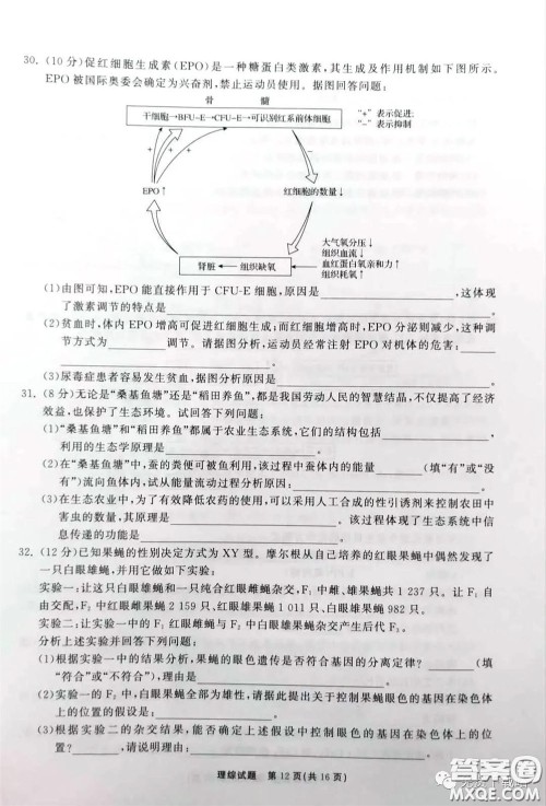 河北衡水中学2020届全国高三第二次联合考试理综答案 河北衡水中学2020届全国高三第二次联合考试理综答案