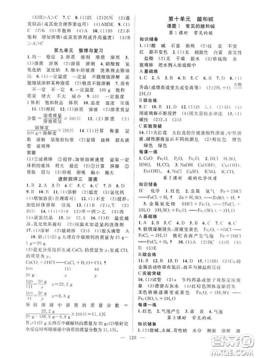 长江出版传媒2020智慧万羽名师学案分层进阶学习法九年级化学下册答案