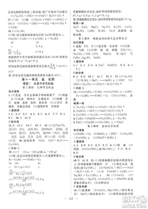 长江出版传媒2020智慧万羽名师学案分层进阶学习法九年级化学下册答案