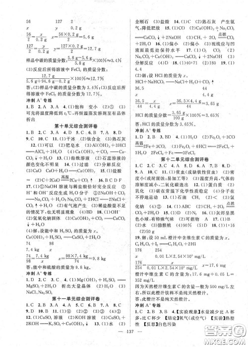 长江出版传媒2020智慧万羽名师学案分层进阶学习法九年级化学下册答案