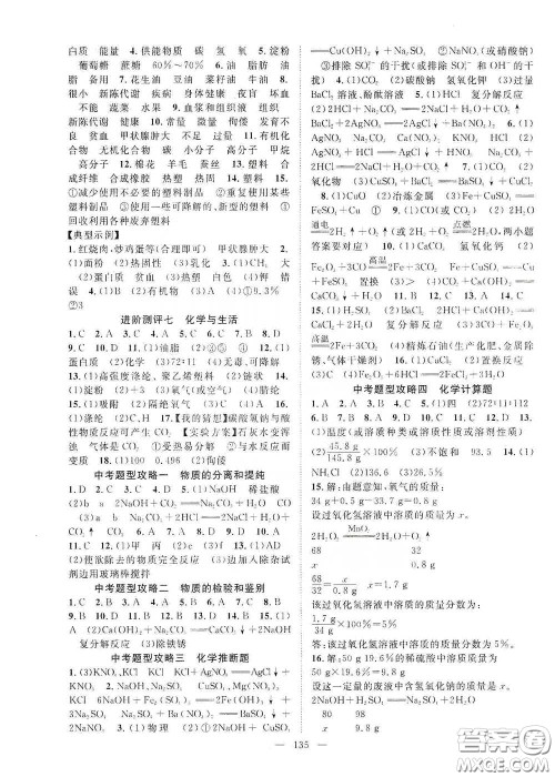 长江出版传媒2020智慧万羽名师学案分层进阶学习法九年级化学下册答案