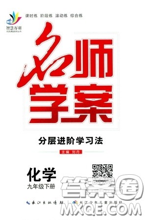 长江出版传媒2020智慧万羽名师学案分层进阶学习法九年级化学下册答案