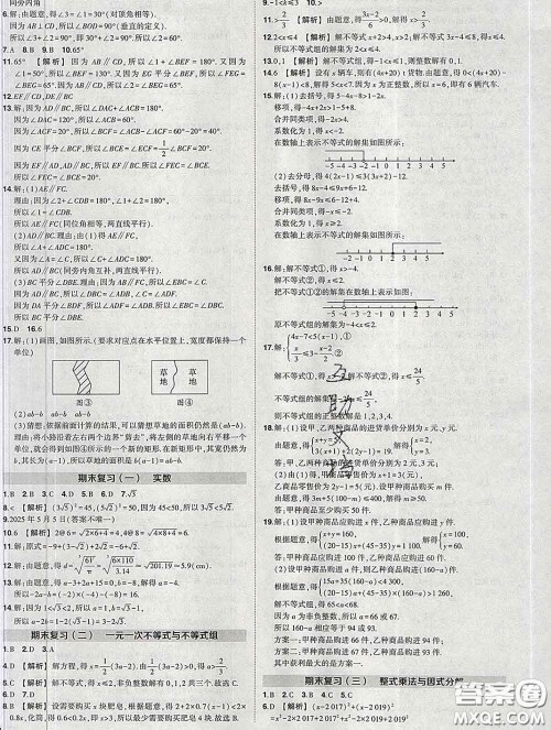 状元成才路2020春创优作业七年级数学下册沪科版答案