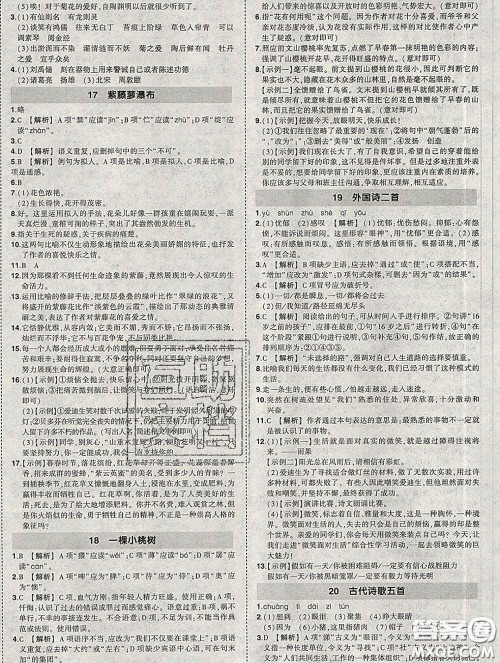 状元成才路2020春创优作业七年级语文下册人教版答案 状元成才路2020春创优作业七年级语文下册人教版答案