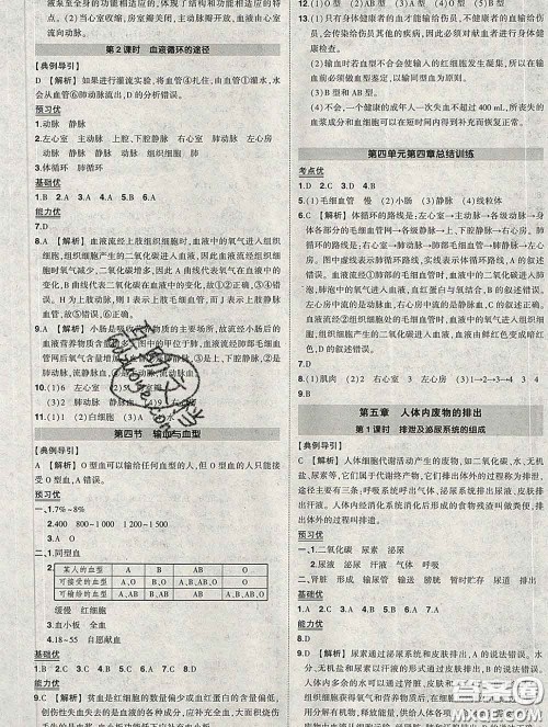 状元成才路2020春创优作业七年级生物下册人教版答案 状元成才路2020春创优作业七年级生物下册人教版答案