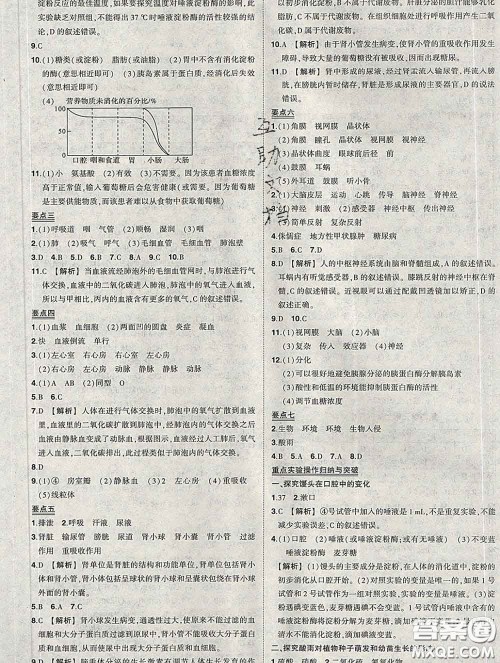 状元成才路2020春创优作业七年级生物下册人教版答案 状元成才路2020春创优作业七年级生物下册人教版答案