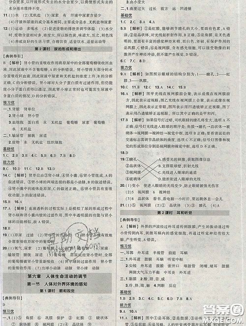 状元成才路2020春创优作业七年级生物下册人教版答案 状元成才路2020春创优作业七年级生物下册人教版答案