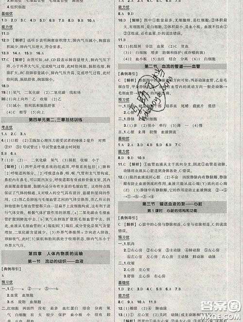 状元成才路2020春创优作业七年级生物下册人教版答案 状元成才路2020春创优作业七年级生物下册人教版答案