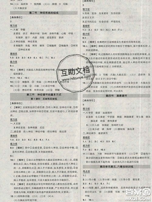 状元成才路2020春创优作业七年级生物下册人教版答案 状元成才路2020春创优作业七年级生物下册人教版答案