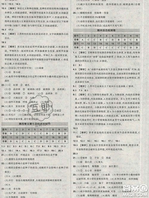 状元成才路2020春创优作业七年级生物下册人教版答案 状元成才路2020春创优作业七年级生物下册人教版答案