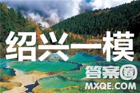 2020年绍兴市高考科目考试适应性试卷语文答案 2020年绍兴市高考科目考试适应性试卷语文答案