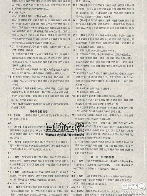 状元成才路2020春创优作业七年级道德与法治下册人教版答案