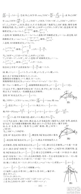 智慧万羽2020名师学案分层进阶学习法中考复习堂堂清数学答案