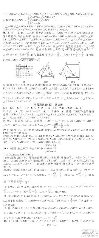 智慧万羽2020名师学案分层进阶学习法中考复习堂堂清数学答案