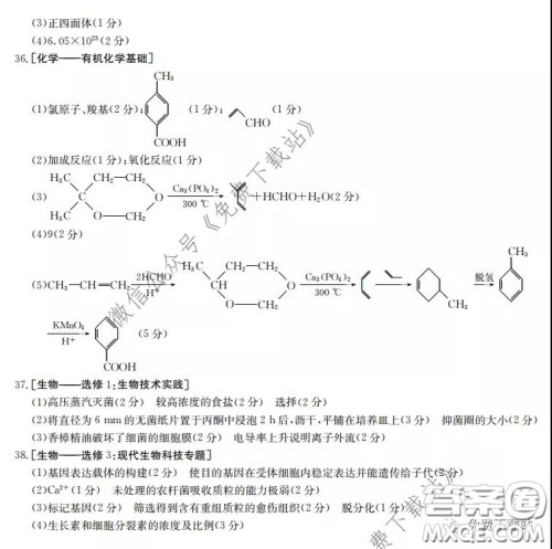 2020届湖南金太阳高三模拟考试理科综合试题及答案