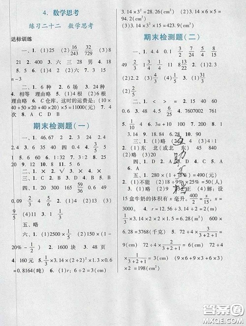 2020新版阳光学业评价六年级数学下册人教版参考答案