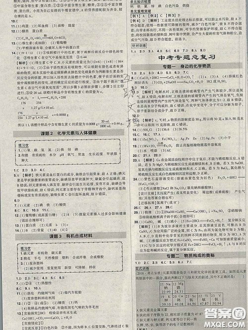 状元成才路2020春创优作业九年级化学下册人教版答案
