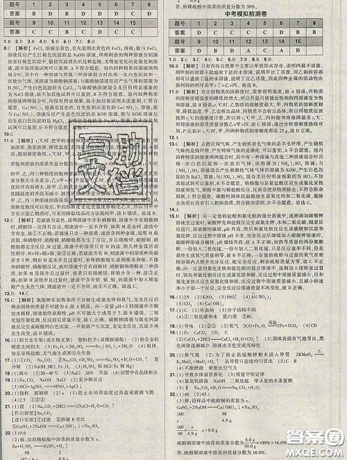 状元成才路2020春创优作业九年级化学下册人教版答案