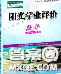 2020新版阳光学业评价七年级数学下册人教版参考答案