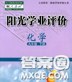 2020新版阳光学业评价九年级化学下册人教版参考答案