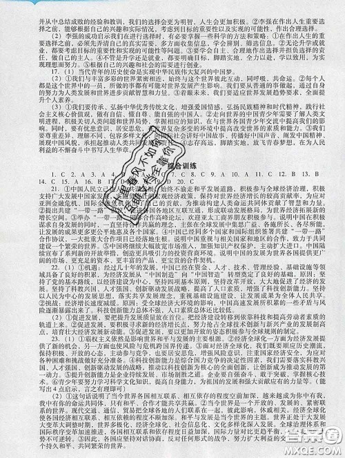 2020新版阳光学业评价九年级道德与法治下册人教版参考答案