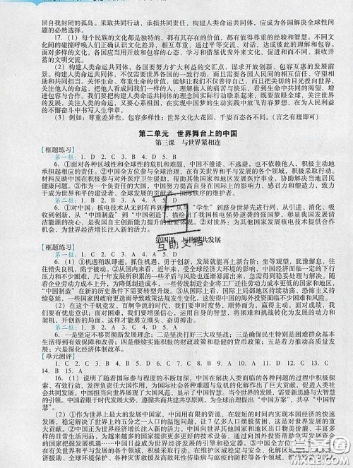 2020新版阳光学业评价九年级道德与法治下册人教版参考答案